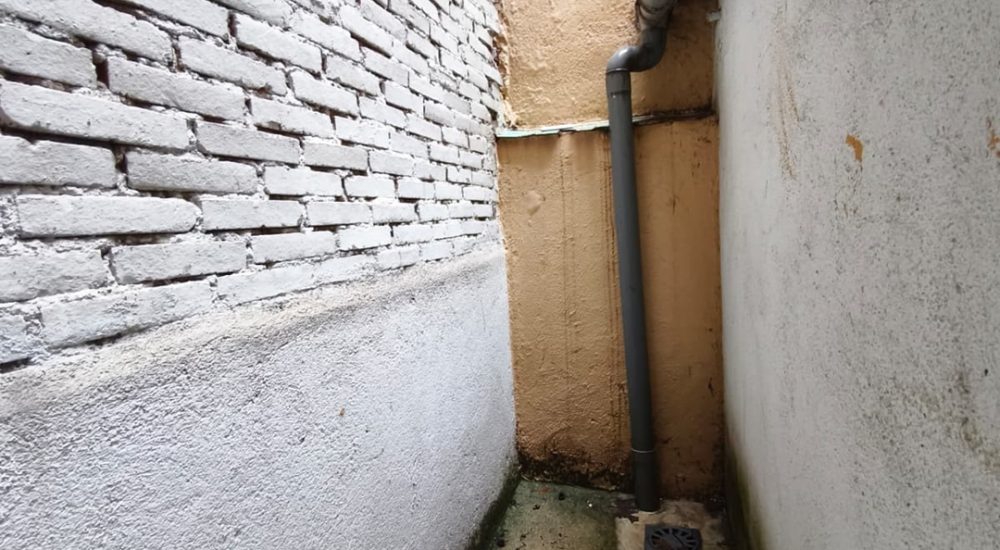 33d79502-eda2-4a26-a3a4-11a8900b43cc.jpg